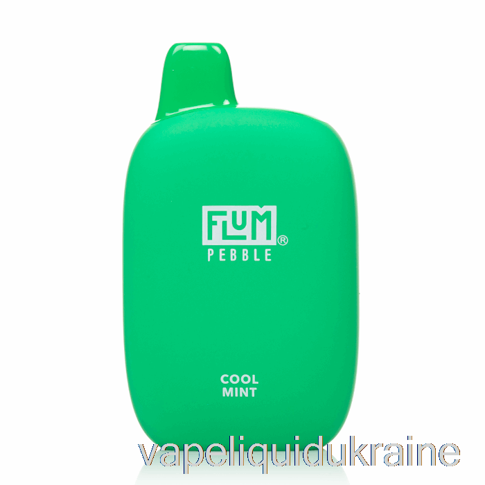 Vape Ukraine Flum Pebble 6000 Disposable Cool Mint